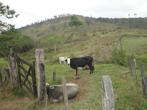 Hotéis e Pousadas para Famílias em Novo Horizonte, Minas Gerais 2025