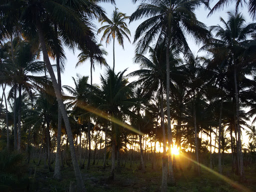 Hotéis e Pousadas para Famílias em Ponta da Tulha, Bahia 2025