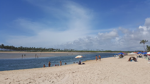 Hotéis e Pousadas para Famílias em Barra de Jacuípe, Bahia 2025