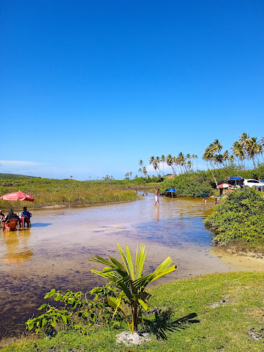 Hotéis e Pousadas para Famílias em Massarandupio, Bahia 2025