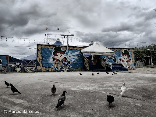 Hotéis e Pousadas para Famílias em Cocotá, Rio de Janeiro 2025
