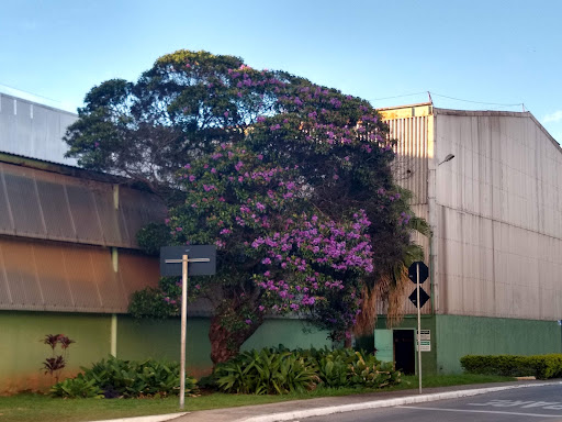 Hotéis e Pousadas para Famílias em Barreiro, Minas Gerais 2025