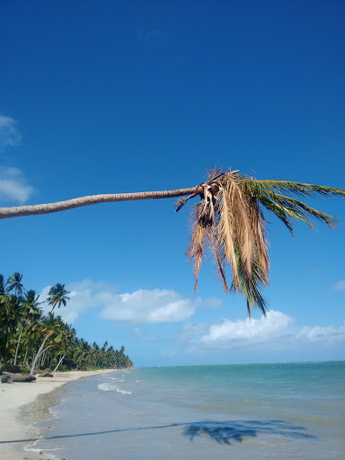 Hotéis e Pousadas para Famílias em Barra do Camaragibe, Alagoas 2025