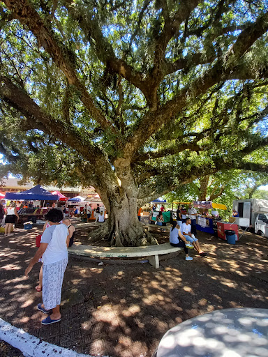Hotéis e Pousadas para Famílias em Belém Velho, Rio Grande do Sul 2025