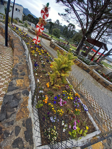 Hotéis e Pousadas para Famílias em Bom Jardim da Serra, Santa Catarina 2025