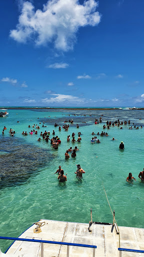 Hotéis e Pousadas para Famílias em Maragogi, Alagoas 2025