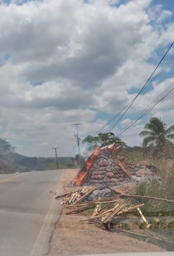 Hotéis e Pousadas para Famílias em Coqueiro, Bahia 2025
