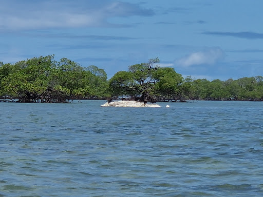 Hotéis e Pousadas para Famílias em Barra do Carvalho, Bahia 2025