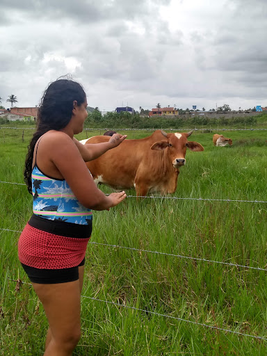 Hotéis e Pousadas para Famílias em Passo de Camarajibe, Alagoas 2025