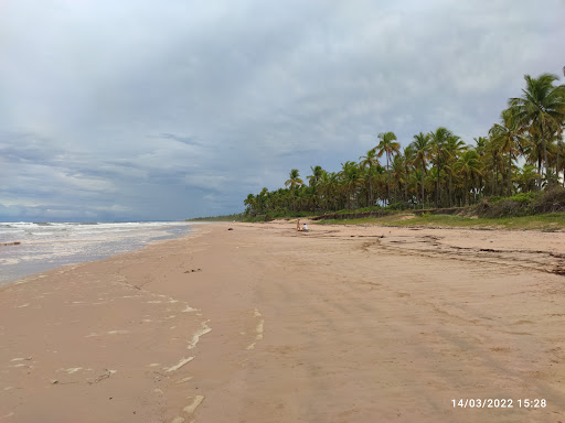 Hotéis e Pousadas para Famílias em Praia dos Algodões, Bahia 2025