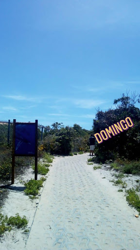 Hotéis e Pousadas para Famílias em Praia do Forte, Bahia 2025
